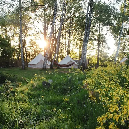 Group Glamping Bell Tents Camp Perfect To Reconnect With Nature In Germany Campismo de Luxo Vorpochten